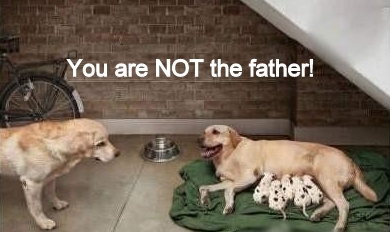 We don't need to go on Maury for this one
