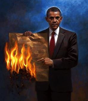 obama constitution